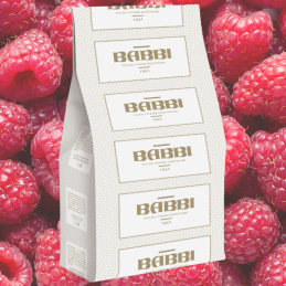 op. 1.25 kg FruttaFrutta Lampone con pezzi - kompletna mieszanka do lodów malinowych z kawałkami owoców - nr. kat. 11608 Babbi