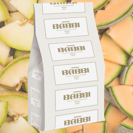 op. 1.25 kg FruttaFrutta Melone - kompletna mieszanka do lodów melonowych - nr. kat. 11517 Babbi