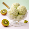 op. 3 kg Primafrutta Kiwi - pasta smakowa do lodów i deserów - nr. kat. PC140P Comprital