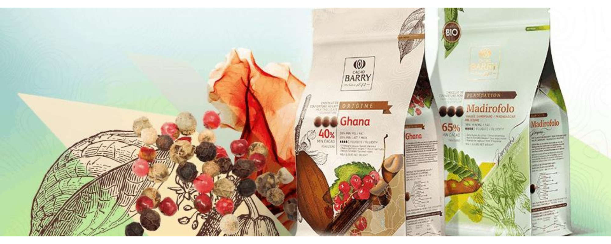 GHANA CACAO BARRY (4).png